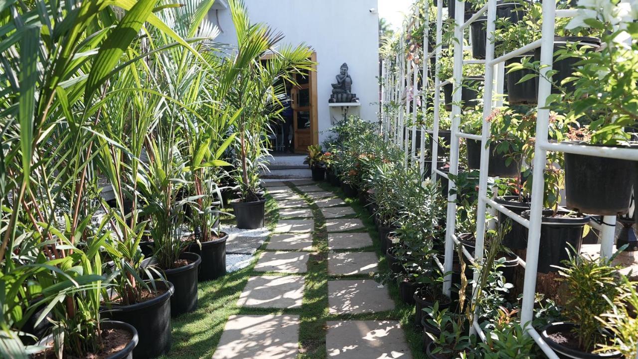 Whiteflower Resort Morjim Exterior photo